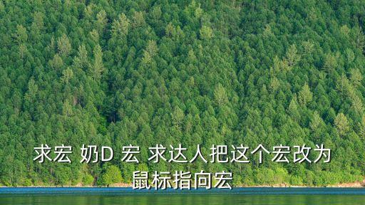 鼠標指向宏，求宏 奶D 宏 求達人把這個宏改為鼠標指向宏