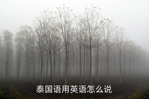 泰國語用英語怎么說