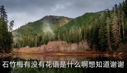 石竹梅有沒有花語(yǔ)是什么啊想知道謝謝