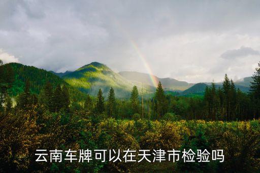 云南車牌可以在天津市檢驗嗎