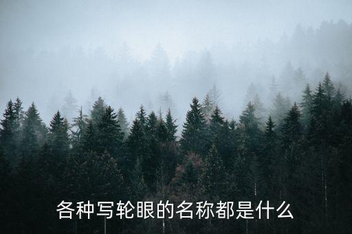 各種寫輪眼的名稱都是什么