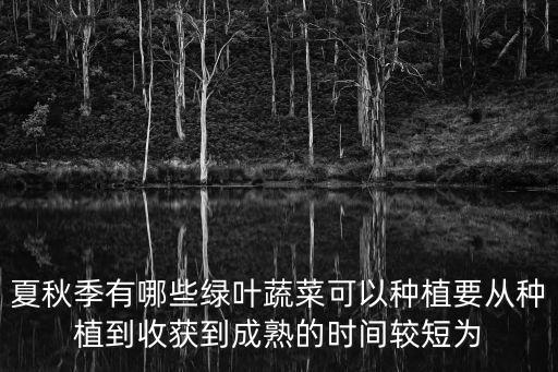 夏秋季有哪些綠葉蔬菜可以種植要從種植到收獲到成熟的時(shí)間較短為