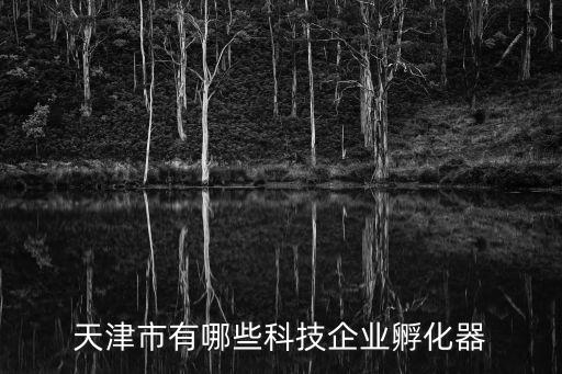 天津市借力科技，天津首家新媒體公司做了多少項目