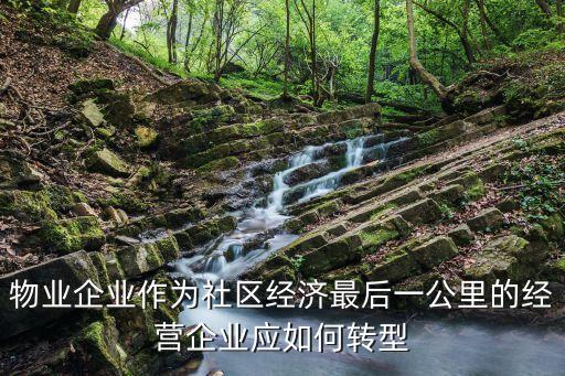 物業企業作為社區經濟最后一公里的經營企業應如何轉型