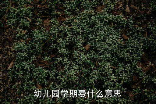幼兒園學期費什么意思