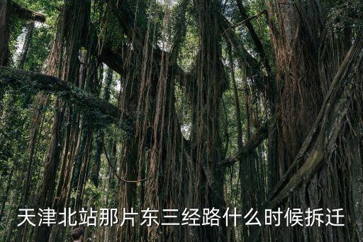 天津北站那片東三經路什么時候拆遷