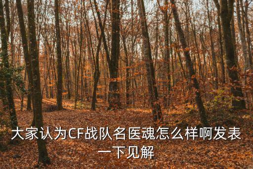 大家認為CF戰隊名醫魂怎么樣啊發表一下見解
