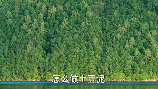 怎么做土豆泥