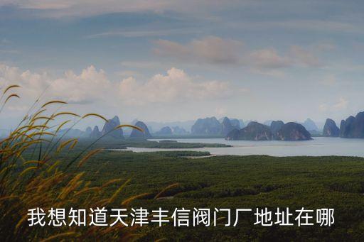 我想知道天津豐信閥門廠地址在哪