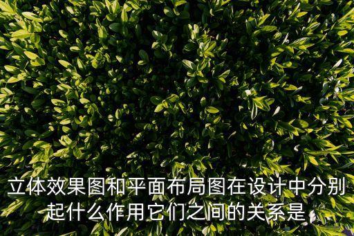 立體效果圖和平面布局圖在設(shè)計(jì)中分別起什么作用它們之間的關(guān)系是