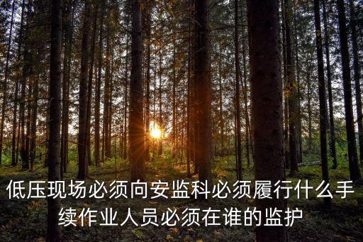 低壓現場必須向安監科必須履行什么手續作業人員必須在誰的監護