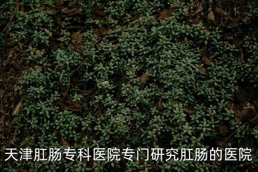 天津肛腸專科醫(yī)院專門研究肛腸的醫(yī)院