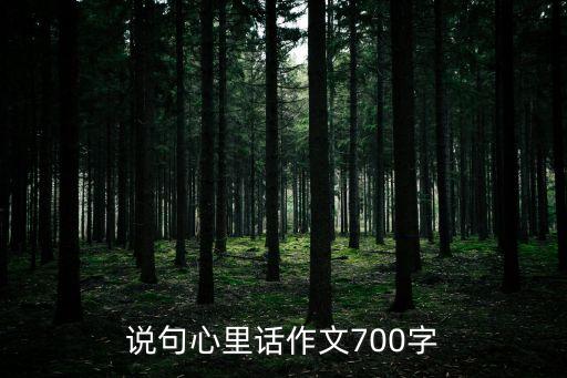 說句心里話作文700字