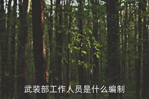 武裝部工作人員是什么編制