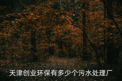 天津創業環保有多少個污水處理廠