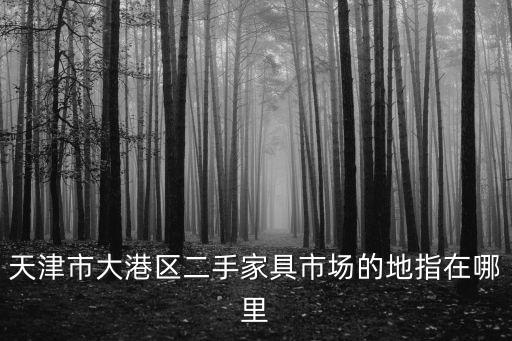 天津市大港區(qū)二手家具市場的地指在哪里