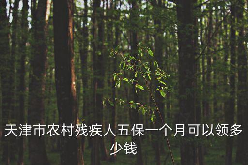 天津市農村殘疾人五保一個月可以領多少錢