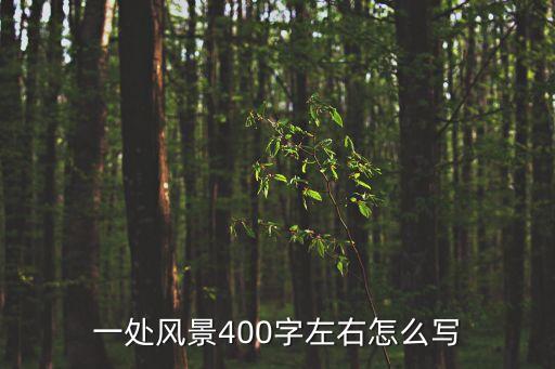 一處風(fēng)景400字左右怎么寫