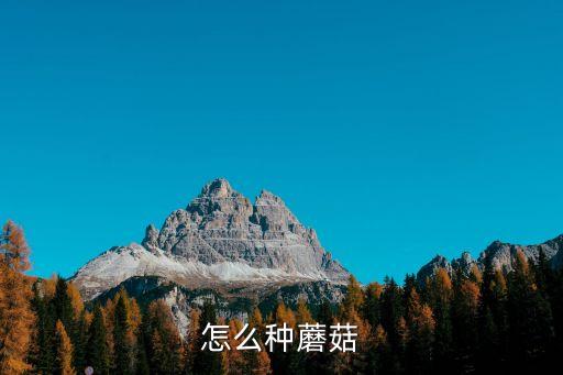 怎么種蘑菇