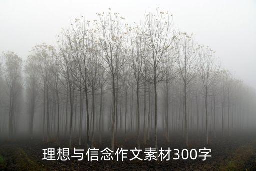 理想與信念作文素材300字