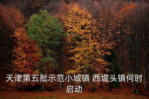 天津市示范鎮是怎樣的，天津大邱莊示范鎮二期怎么樣了