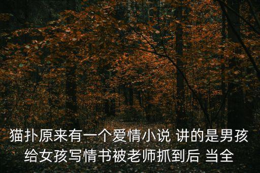 貓撲另類情感，貓撲原來有一個愛情小說 講的是男孩給女孩寫情書被老師抓到后 當全