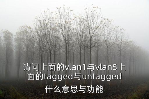 請問上面的vlan1與vlan5上面的tagged與untagged什么意思與功能