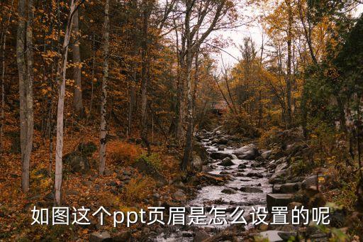 如圖這個ppt頁眉是怎么設置的呢