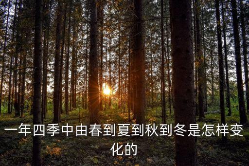 一年四季中由春到夏到秋到冬是怎樣變化的