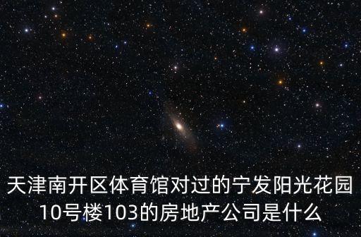 天津市鵬程置業胡冬惠，天津名門廣場的開發商是誰呀