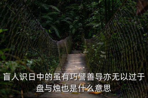 善導，善導的詞語解釋