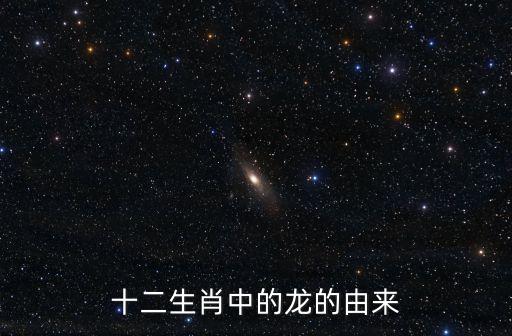 十二生肖龍，在十二生肖里屬龍的人是什么性格