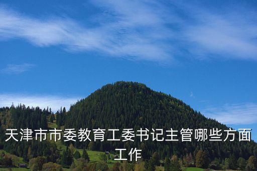 天津市市委教育工委書記主管哪些方面工作