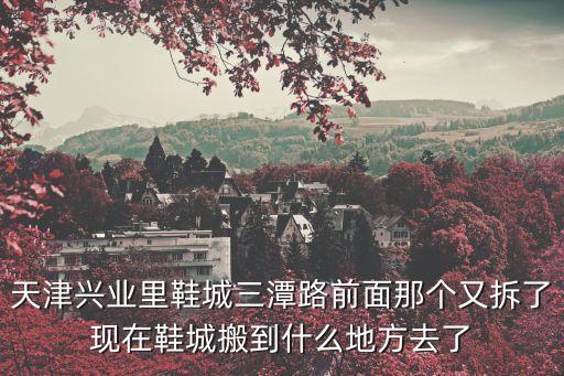 天津興業里鞋城三潭路前面那個又拆了現在鞋城搬到什么地方去了