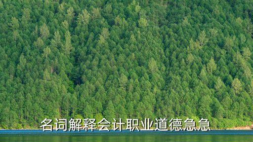 名詞解釋會計職業道德急急
