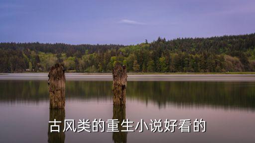 古風類的重生小說好看的