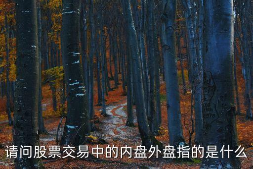 請問股票交易中的內盤外盤指的是什么