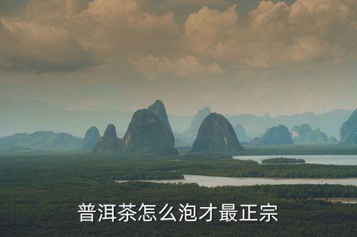 普洱茶怎么泡才最正宗