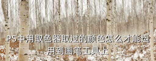 PS中用取色器取過的顏色怎么才能運用到畫筆工具上
