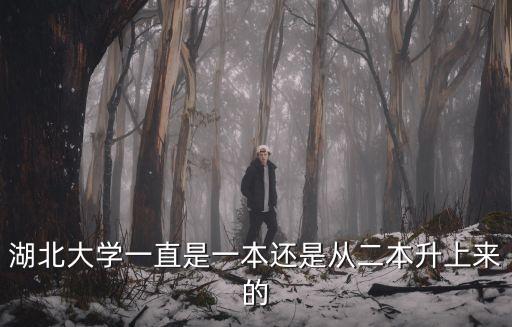 湖北大學(xué)是幾本，湖北大學(xué)是幾本