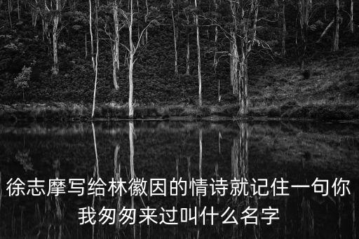 徐志摩寫給林徽因的情詩(shī)就記住一句你我匆匆來過叫什么名字