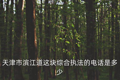天津市濱江道這塊綜合執(zhí)法的電話是多少