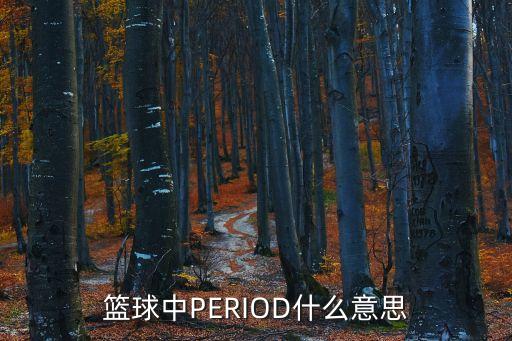 籃球中PERIOD什么意思
