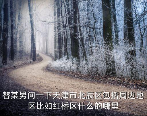 天津市北辰活力區，天津市北辰區地圖