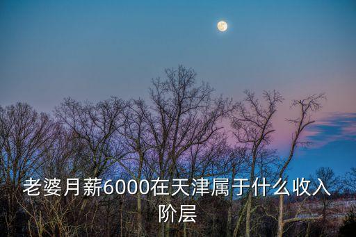 天津市高收入階層，老婆月薪6000在天津屬于什么收入階層