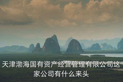 天津渤海國有資產(chǎn)經(jīng)營管理有限公司這家公司有什么來頭