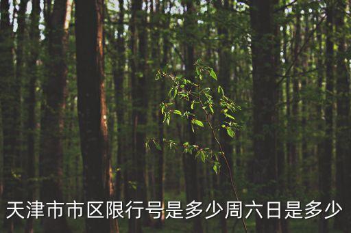天津市市區限行號是多少周六日是多少