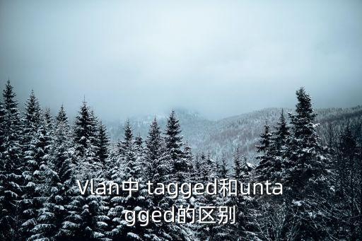 Vlan中 tagged和untagged的區別