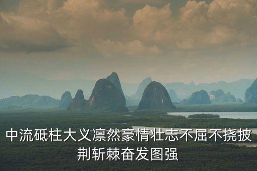 中流砥柱大義凜然豪情壯志不屈不撓披荊斬棘奮發(fā)圖強