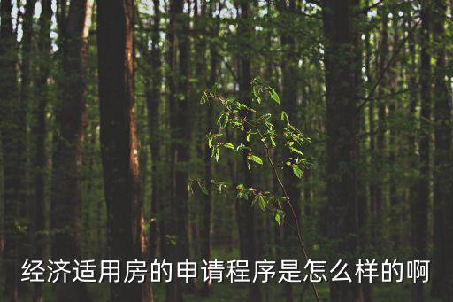 經濟適用房的申請程序是怎么樣的啊